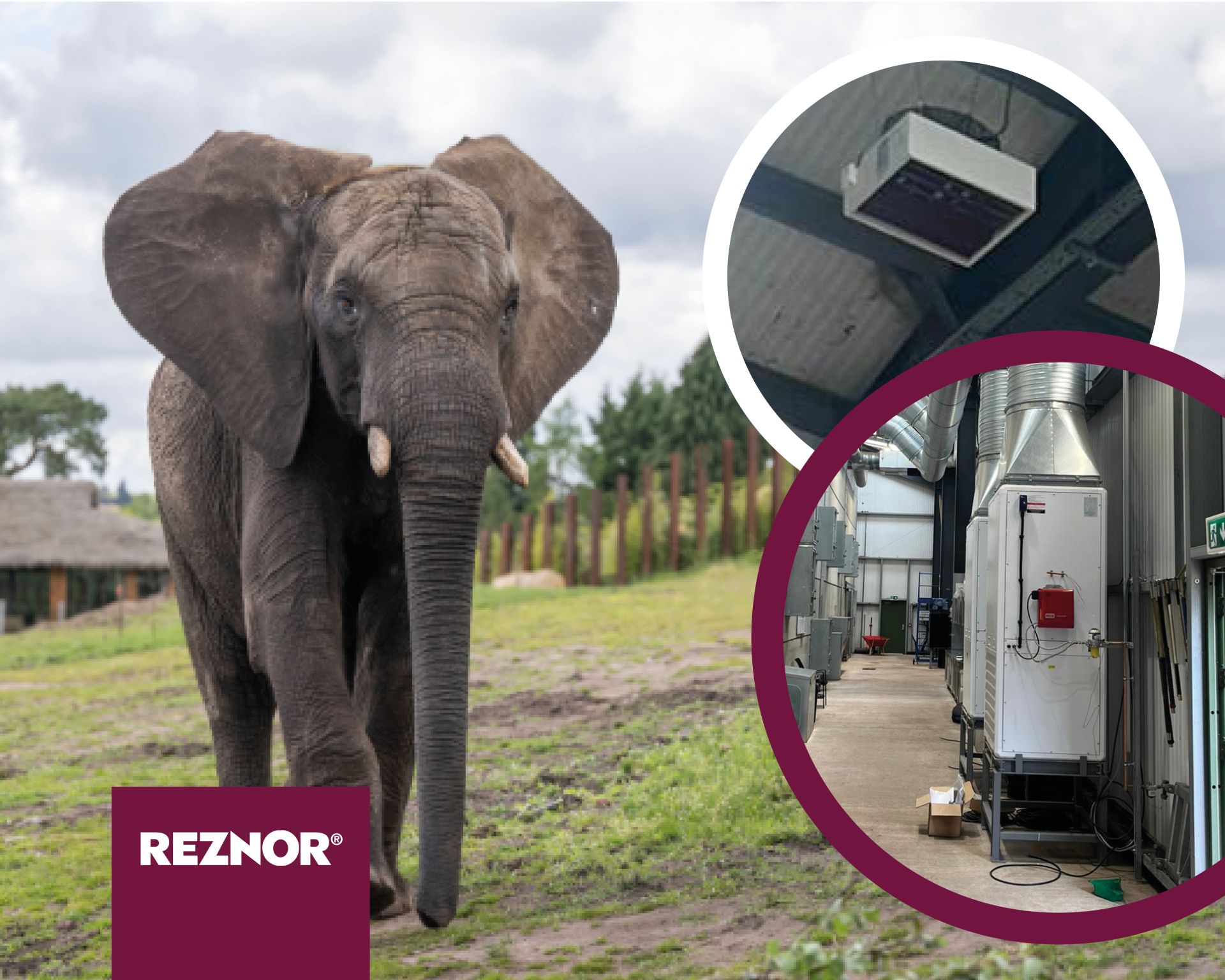 West Midlands Safari Park – Elephant Enclosure